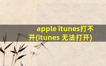 apple itunes打不开(itunes 无法打开)